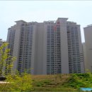 분당-248 이미지