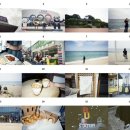 초이필름 | 일회용 필름카메라 후지필름 퀵 스냅 400 후기 (feat.강릉 여행)