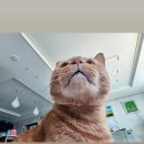 면천스테이 | [일기장] 11. 어쩌다보니 한달동안 MBTI 바꿔살기 (INTJ → ENTP)