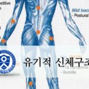 바른손연세재활의학과의원