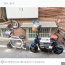 미니비애니프로 내돈내산 구매 후기 1탄 - 가격, 배터리용량, 액세서리 구성 등! (feat. 펫바이크)