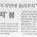 그린붐 이미지