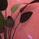 프롬디