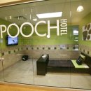 강아지 호텔 이미지