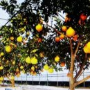 미경농장 이미지