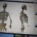 코아헬스 이미지