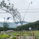 양산 디저트 카페 다루야 방문후기 힐링 카페