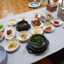 정선토박이
