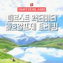 스위스 그린델발트 피르스트 액티비티 바흐알프제 트레킹 총정리