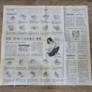 안진농장 | 아무것도 하기 싫을 땐 역시 블로그지