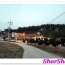 파라다이스펜션 이미지