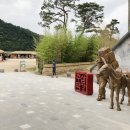 추억의주막 이미지
