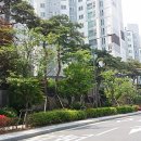 108동 앞 횡단보도 이미지