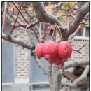 논산훈련소펜션/남자친구와 첫 휴가, 은하수펜션에서 즐겼어요! 솔직후기