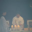 사르넬리 이미지