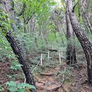 동읍483 | 창원 내정병봉 (길상사주차장~내정병봉~용추고개~용추주자창~길상사주차장, 원점회귀) 2023.09.03.