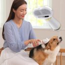 펫살롱 댕댕 이미지