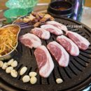 국민주먹고기
