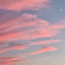 털보네연탄구이 이미지