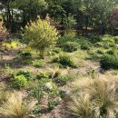 서울숲 주차장 화장실 이미지