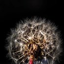 GPT골프레슨 이미지