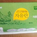 아보카도진
