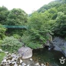 국립지리산자연휴양림 이미지