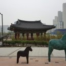 스칸디동물병원 이미지