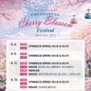 감성마을교량 | 청풍호 벚꽃축제 일정 주차 정보 총정리 실시간 개화상태 방문후기 꿀팁 케이블카 모노레일