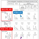 녹양돌봄동물병원 이미지