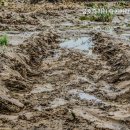 타이어 라이프(단구점) 이미지