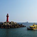 산방산의봄 이미지