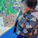 하운드정자해수욕장점 이미지