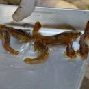 인제중학교 이미지