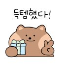 댕스테이 네이버블로그