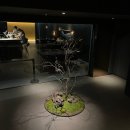 서초대로48길 107 이미지