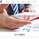 비디에스