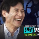 셀럽 bnt뉴스