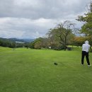 센츄리(아) 이미지