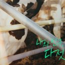 달뜨는 마을 보금자리 이미지