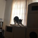 (주)리즈네트워크 이미지