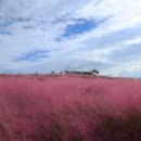 상모리-10 이미지