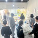 아기공룡마뱀