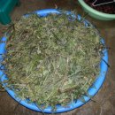 금서면사무소 이미지