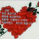 와줘서고마워 Daum카페