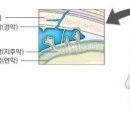 참사랑주막 이미지