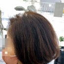 카스텔 헤어