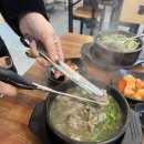 닥터강동물병원 이미지