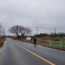 황산면 연당리 미륵불 이미지