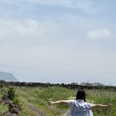 종달초등학교 | 🇰🇷 Jeju log 下